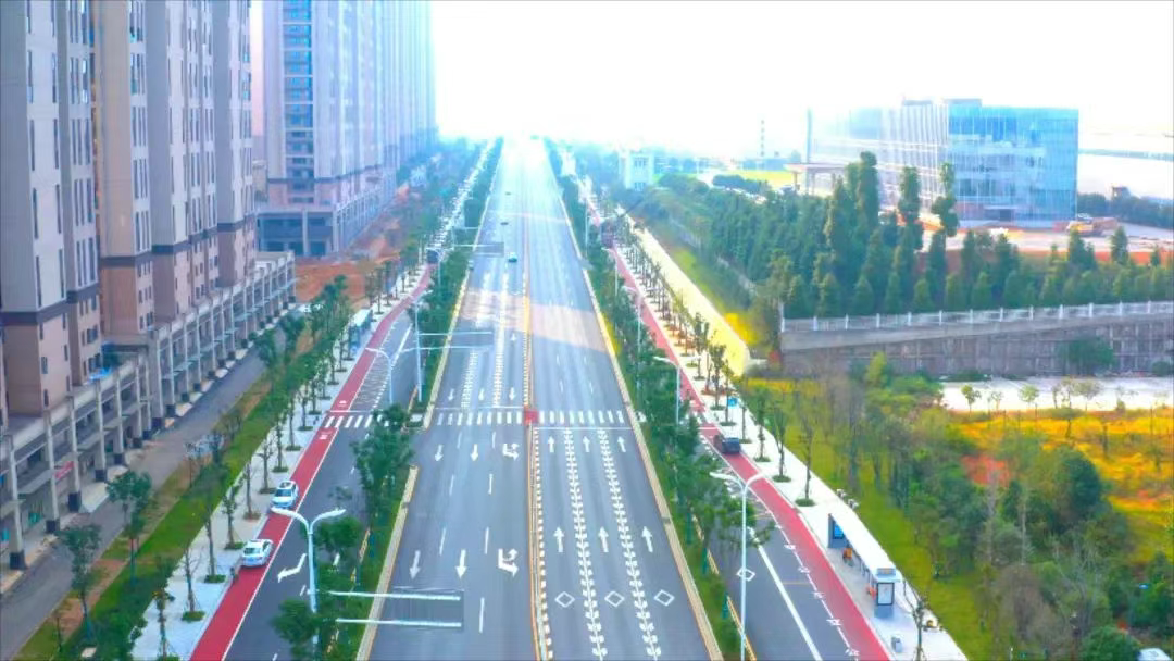 普瑞路（三環(huán)線段-雷高路）提質(zhì)改造工程設(shè)計采購施工總承包第一標(biāo)段項目園林綠化維護(hù)及保潔服務(wù)項目