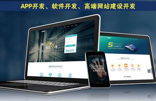 天津軟件開(kāi)發(fā)網(wǎng)站開(kāi)發(fā)的語(yǔ)言概念